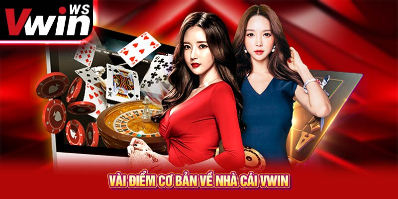 Vài điểm cơ bản về nhà cái VWIN